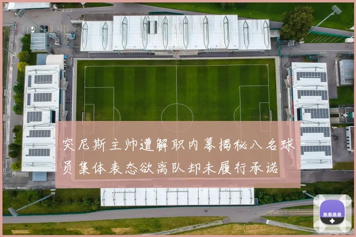 突尼斯主帅遭解职内幕揭秘八名球员集体表态欲离队却未履行承诺